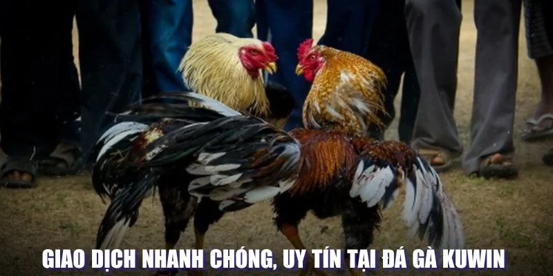 Giao dịch nhanh chóng, uy tín