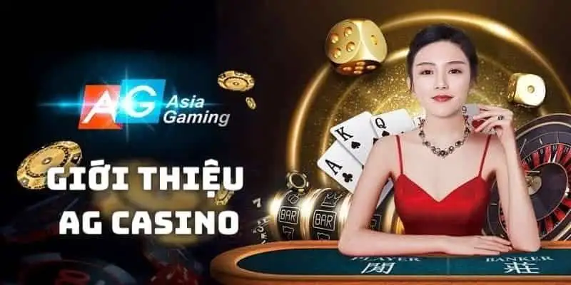 AG Casino Kuwin vài nét thông tin giới thiệu cơ bản